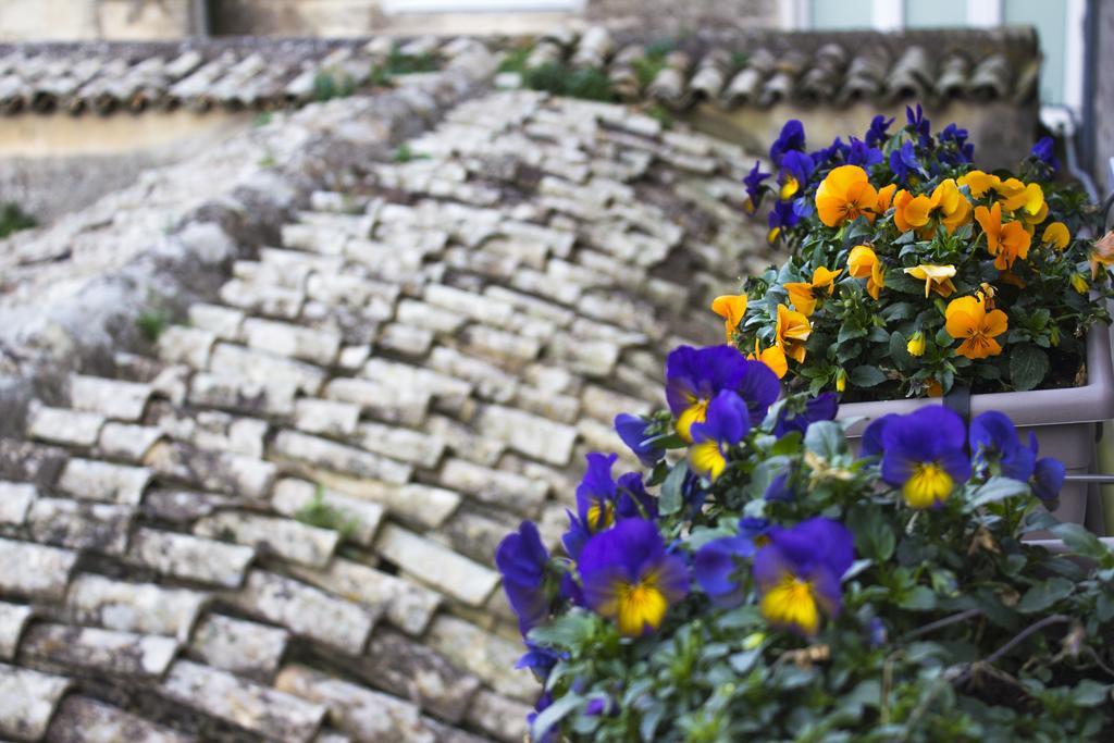 Villa Le Violette Matera Exterior foto